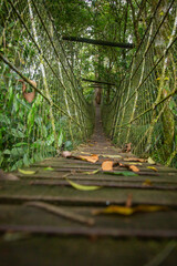 A suspension bridge in the middle of the Atlantic Forest canopy in the privately protected Parque das Neblinas area, which has forest trails and adventure attractions for children and adults.