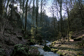 Muellerthal river fluss tal valley tree green