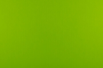 Fond pour création d'arrière plan de couleur vert pastel.