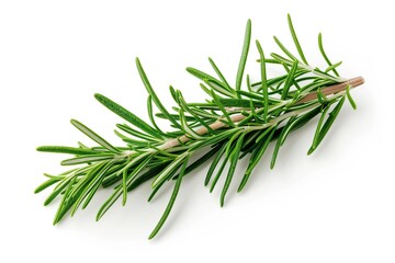 Fototapeta premium Rosemary twig isolated on white background