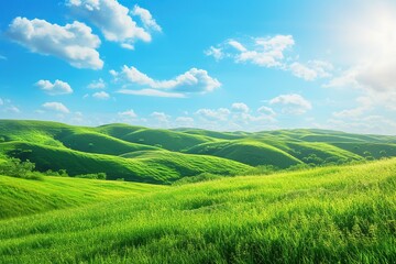Obraz premium Landscape of green grass on slope with blue sky