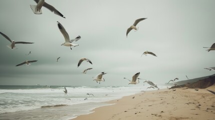 Majestic Seagulls Soaring Over Sandy Coastal Beach AI Generated