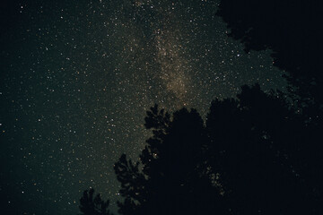 Night Sky with the Milky Way