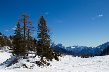 Dolomites landscape in Alleghe area, Italian alps