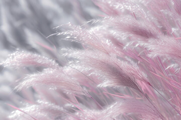 Abstract pink and gray grasses wallpaper. Fine art photography, fine feather details, light pink and silver