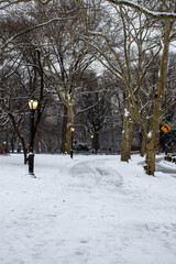 winter snow in Central Park