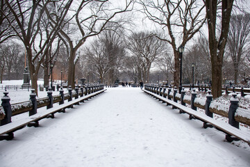 winter in the city