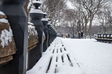 winter in the park