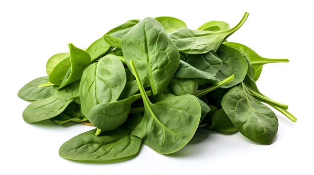 Spinach isolated on white with natural shadows
