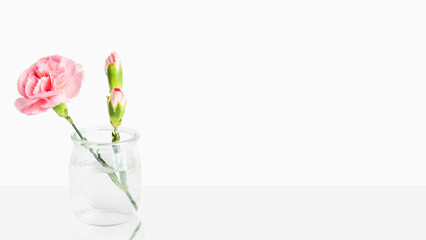 Delicate pink flowers in a small vase. On a light background with empty space
