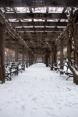 winter snow in Central Park
