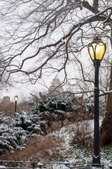 winter snow in Central Park
