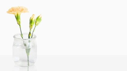 Delicate yellow flowers in a small vase. On a light background with empty space