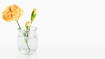 Delicate yellow flowers in a small vase. On a light background with empty space