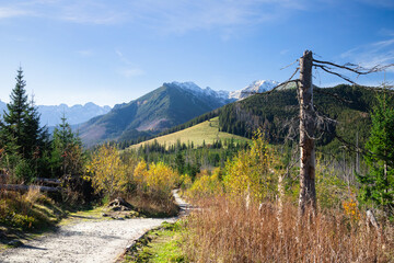 Tatra mountain path  - obrazy, fototapety, plakaty