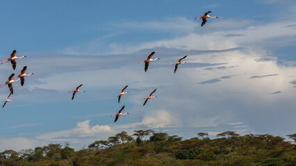 Arusha National Park