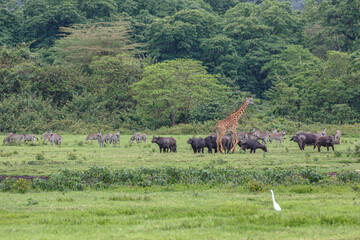 Arusha National Park