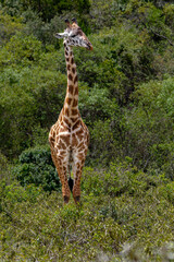 Arusha National Park