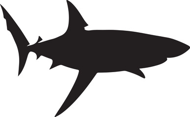 shark silhouette image.

