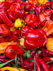 Mixed varieties of hot peppers