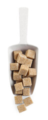 Brown sugar cubes in scoop isolated on white, top view