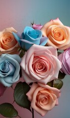 Flowers, roses in different colors, photo wallpaper