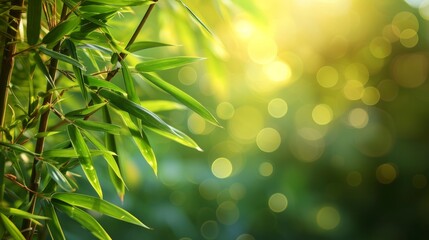 bamboo close up background with bokeh lights, large copyspace area, offcenter composition - obrazy, fototapety, plakaty