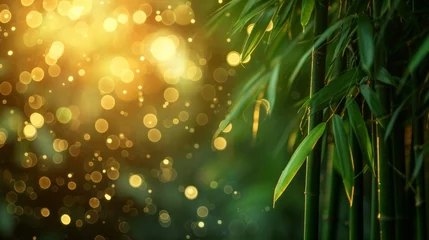 Fototapeten bamboo close up background with bokeh lights, large copyspace area, offcenter composition © olegganko