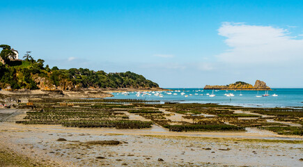 Panoramic view of traditional oyster farm at low tide in a bright sunny day, Cancale coast, Brittany, France
- 724228780