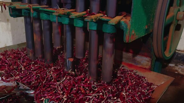 Worker operating machinery for grinding red chilly processing chilly powder in an industrial setting