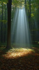 Obraz premium Sunbeam Illuminating Dense Forest Foliage