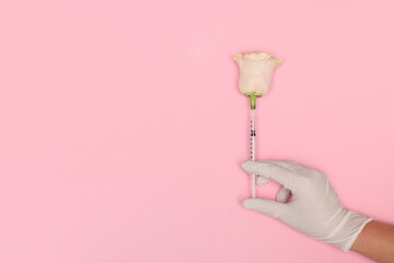 Doctor making injection to rose on pink background, top view. Space for text