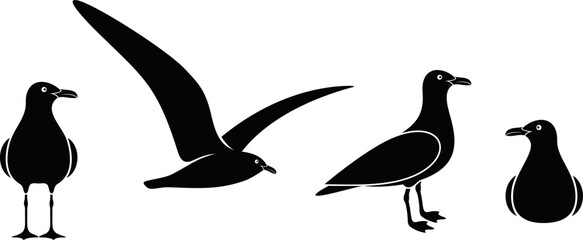 Seagull logo. Isolated seagull on white background. Bird