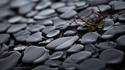 Fotobehang algae growing on black shingle © medienvirus