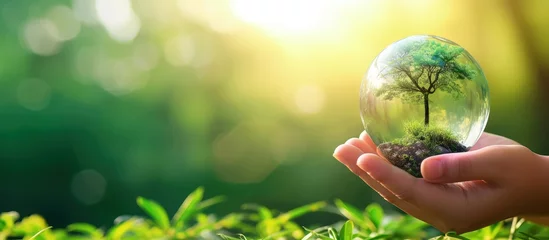 Tuinposter Human hand holding transparent glass globe with growing tree on nature green blur background. © artpray