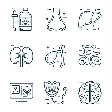 cells organs and medical line icons. linear set. quality vector line set such as human brain, stethoscope, identity card, white blood cell, gallbladder, kidneys, liver organ, nose.