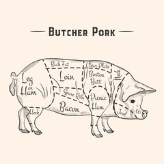 Emblem of Butchery meat shop with Pig silhouette, text The Butchery, Fresh Meat. Logo template for meat business - farmer shop, market, restaurant or design - banner, sticker. Vector Illustration