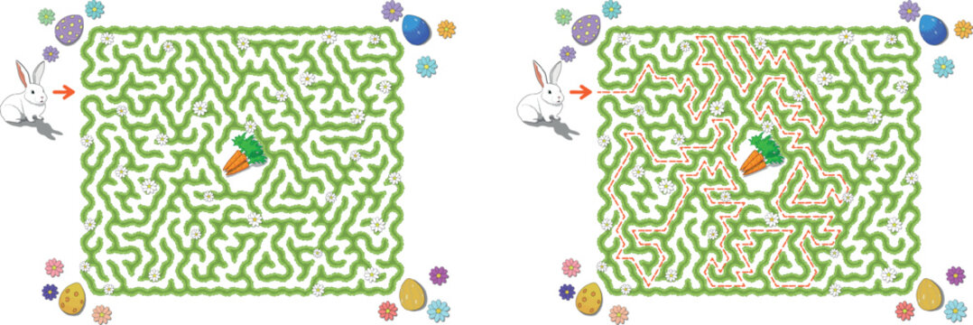 Help easter bunny pass through green hedge maze to find carrots. Feed the hungry pet labyrinth. Family riddle for kids and parents with solution - red passing route.