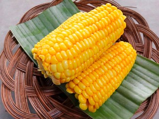corn on the cob. sweet corn (Zea mays Saccharata Sturt). Boiled sweet corn served on a wicker plate on a gray background. pile of sweet yellow fruit on a plate. tea time