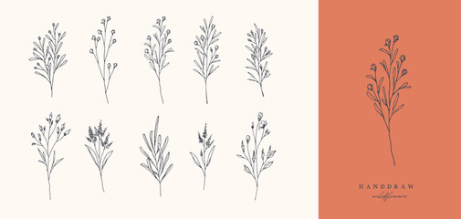 Hand Drawn Botanical Wild Flowers Boho Spring Wildflowers Herbal Organic Logo Nature Isolated SVG 