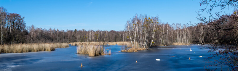 a frozen lake in the forest on a clear day, panorama