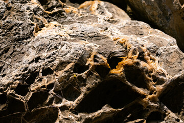 close-up of a reef rock during low tide