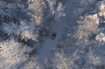 Traveling by car to a remote area. Dirt road in winter snowy forest