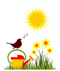 singing bird on watering can, daffodils and sun isolated on white background