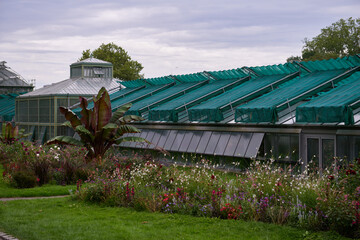 Amazonian Ecosystem Enchantment: Nature's Wonders in the Botanical Greenhouse. Botanic Rainforest Marvel: Exploring the Amazonian Flora in the Conservatory. Amazonian Ecosystem Enchantment Unveiled