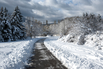 Winter Landscape of South Park in city of Sofia, Bulgaria