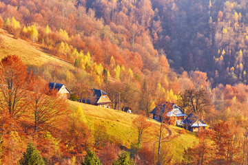 Mountain village, autumn rural scene. Yellow and orange trees. Sunny fall evening. Beautiful sunset hills landscape. Slopes, meadows, fields, village, house, dirt road. Carpathian range.