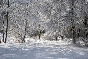 Winter Landscape of South Park in city of Sofia, Bulgaria