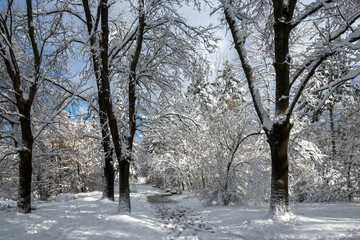 Winter Landscape of South Park in city of Sofia, Bulgaria