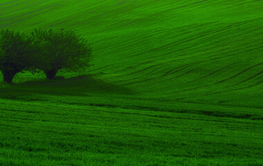 The Green Monferrato - Valmadonna - Alessandria - Piedmont - Italy